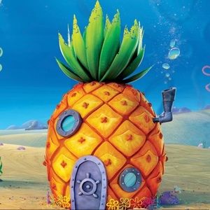 Meet your Posher, Caleb